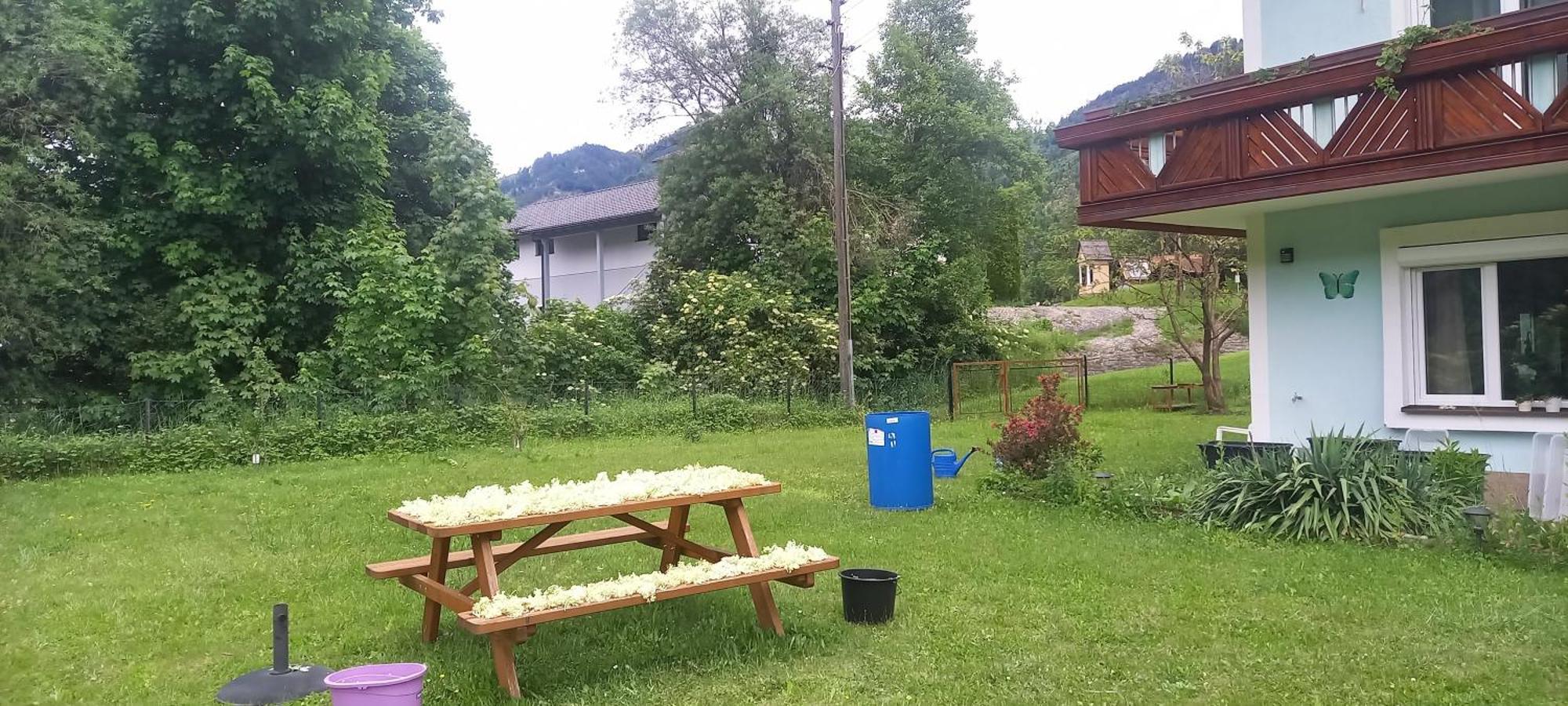Alie Gusta Apartment Hermagor-Pressegger See Exterior photo